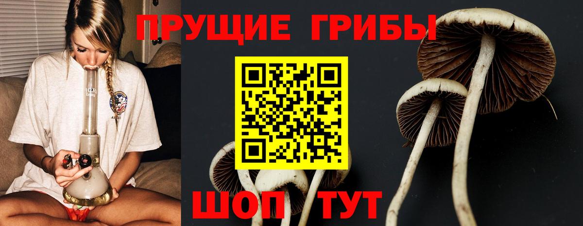 Псилоцибиновые грибы ЛСД  Галлюциногенные грибы Cubensis  Тамбов  Вход с VPN 